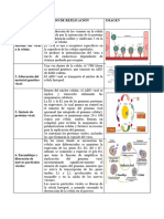 Virus de Transmision Sexual