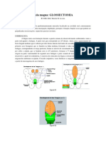 Glossectomia - Aula Magna