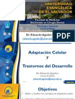 Adaptación Celular Dr. Aguilar Ciclo V 2024
