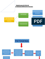 Diagrama de Flujo Vih