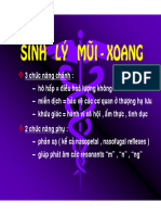 Sinh Ly Mui Xoang