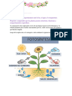 2024 - Modelo Padrón