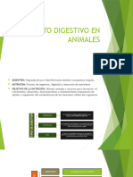 Digestivo en Animales
