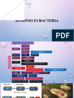 Dominio Eubacteria