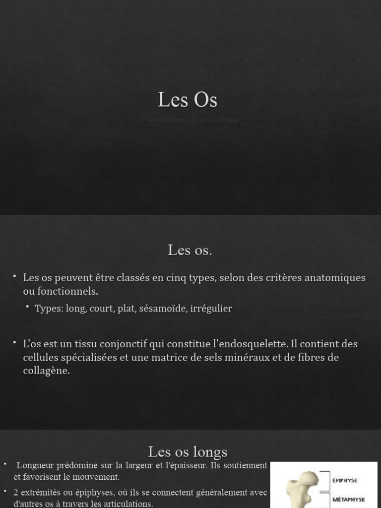 Classification des os en anatomie | PDF | Os | Articulation (anatomie)