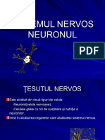 0 Neuronul