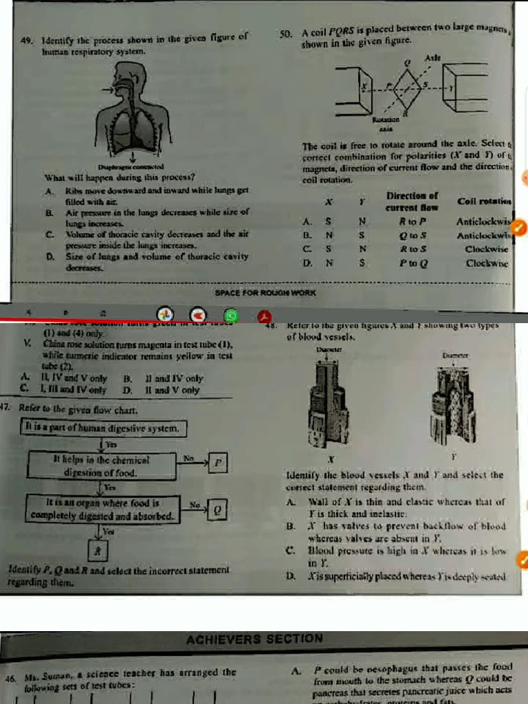 Class 7 Set C | PDF
