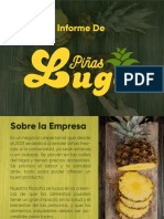 Informe de Piñas Lugo-1