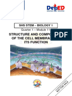 Ucture and Composition of Cell Membrane To Its Functions