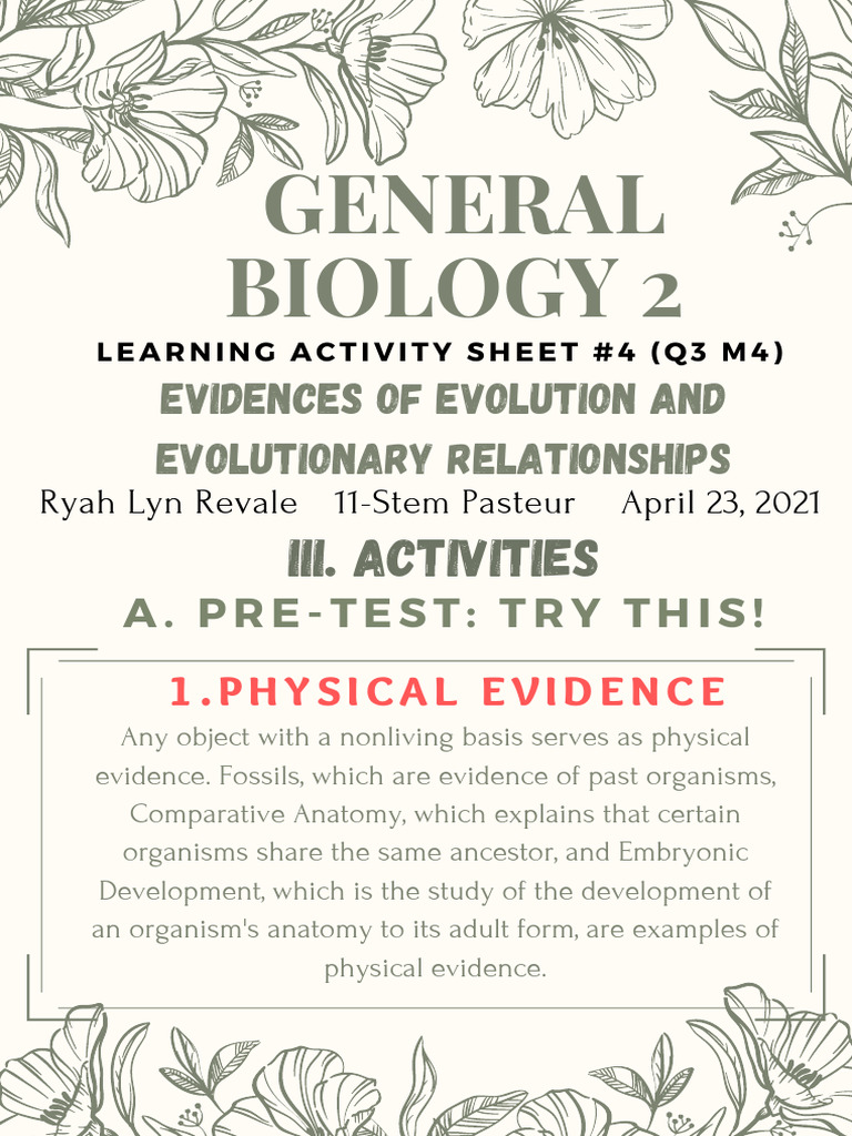 General Biology 2 LAS 4 Q3 Output | PDF | Phylogenetic Tree | Evolution