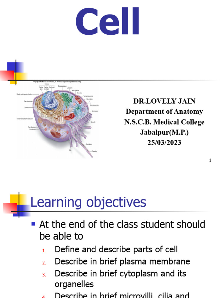 Cell Pdf Endoplasmic Reticulum Cell Membrane