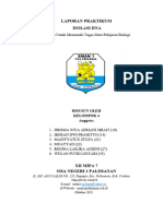 Laporan Praktikum Isolasi DNA Kel. 4 (XII MIPA 7) Docx