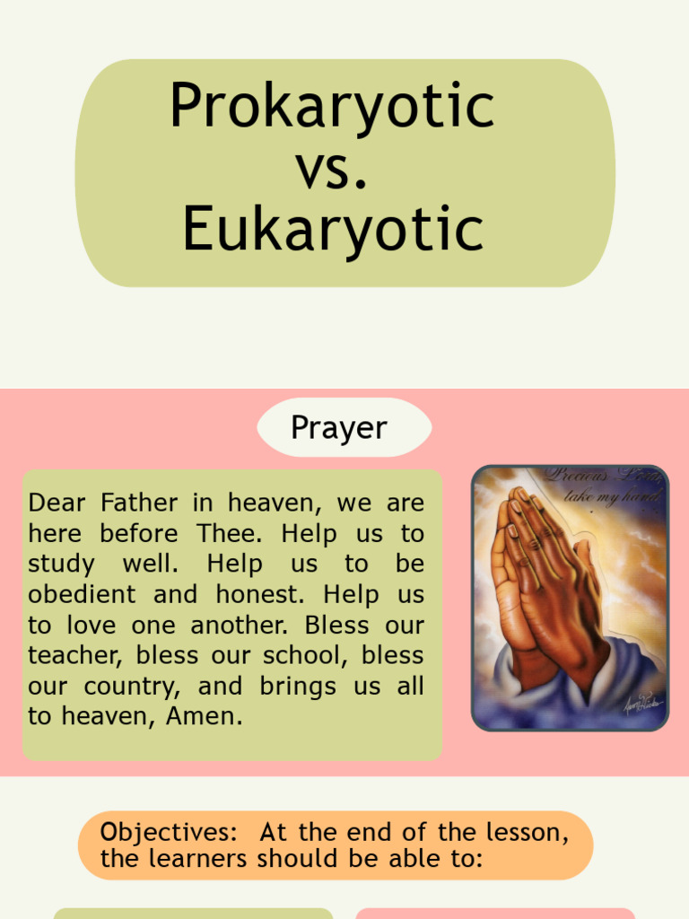 Is It Prokaryotic Or Eukaryotic The Definitive Guide To Vacuoles - h9ezzqz