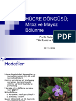 DHF - 103 - F-7 Hücre Döngüsü, Mitoz Ve Mayoz