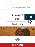 Pracujici Den PDF