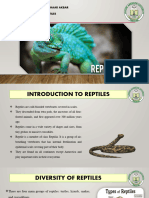 Reptiles Bashaar