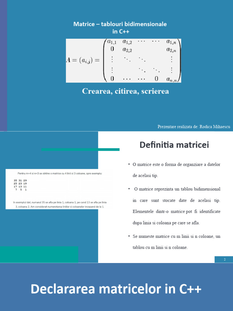 Matrice - Tablouri Bidimensionale | PDF