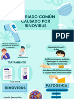 Tema 3, Infecciones Del Tracto Respiratorio Superior e Inferior.