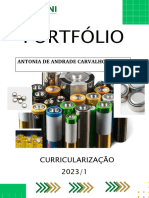 Sugestao e Portfolio Curricularizacao 1