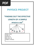 Physics Project XI