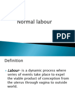Normal Labour