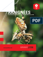 Guidebiodiversite - Araignees