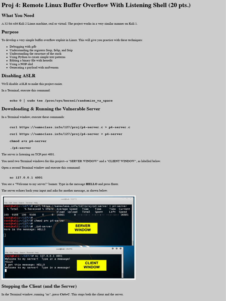 Remote Linux Buffer Overflow Exploit Guide | PDF | Computer Terminal ...