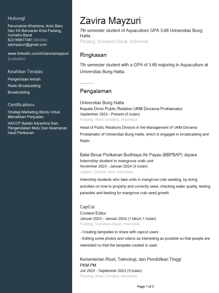 Profile | PDF