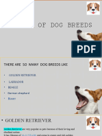 TYPES OF DOG Breedsschool