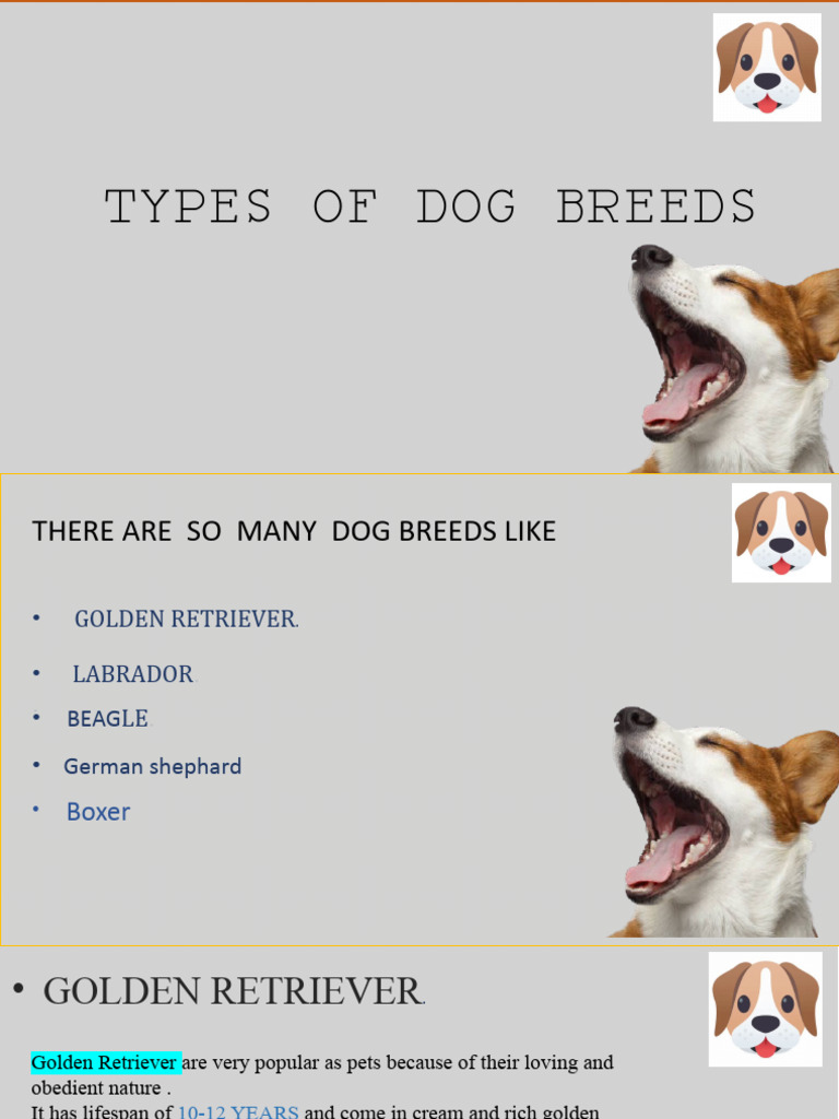 TYPES OF DOG Breedsschool | PDF | Cooking, Food & Wine | Home & Garden