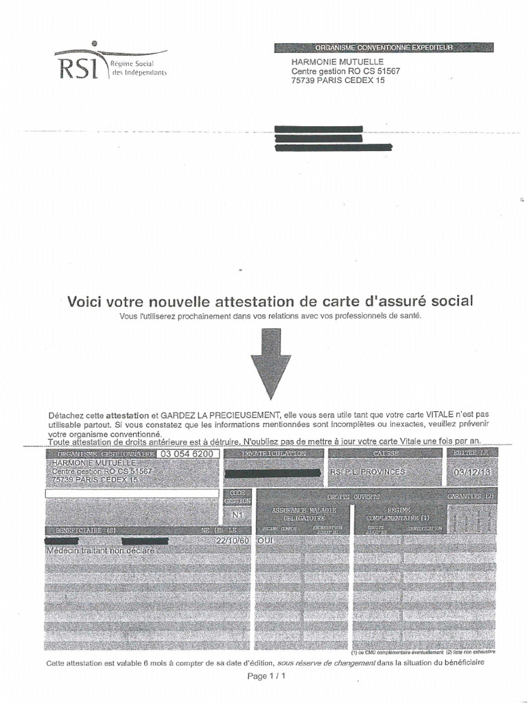 Modeles Attestation Rsi | PDF