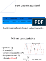 Biofizica Auzului