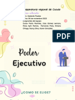 El Poder Ejecutivo