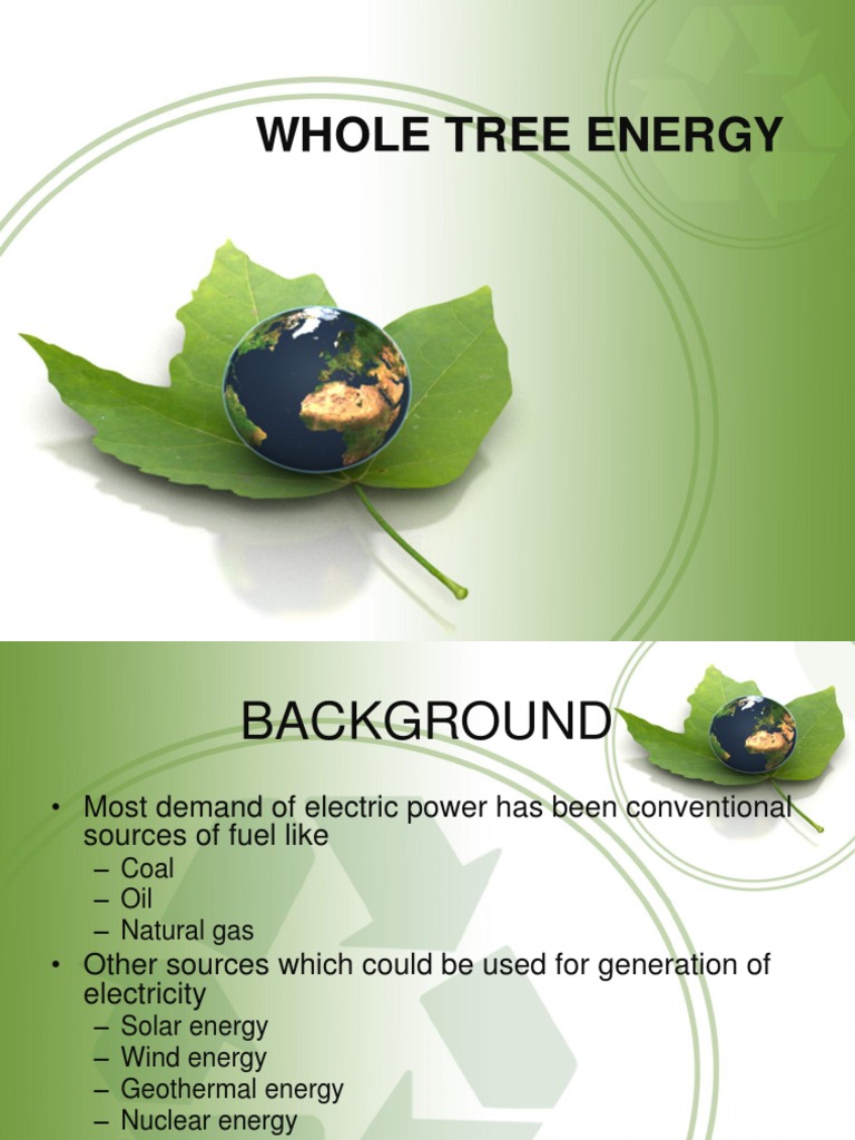 Whole Tree Energy Fuels Renewable Energy