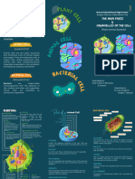 Cell Brochure Biotechnology