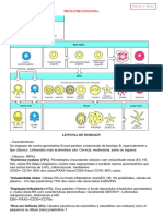 HEMATOPATOLOGIA - Patrícia