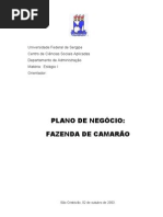 Aquicultura Producao Fazenda Camarao