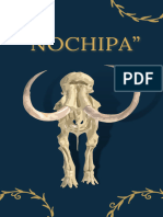 NOCHIPA