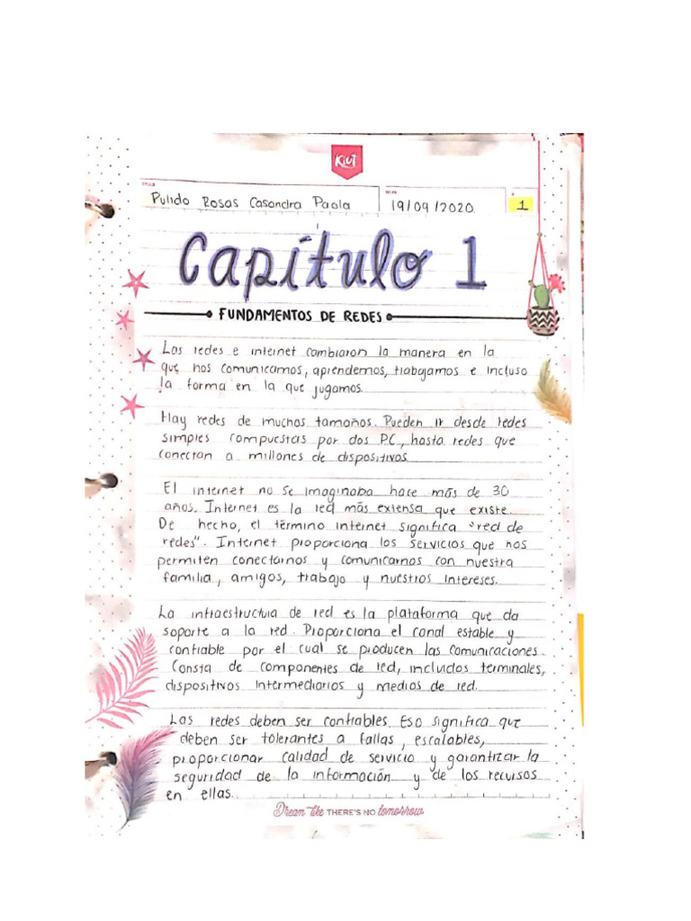 Capitulo 1 | PDF