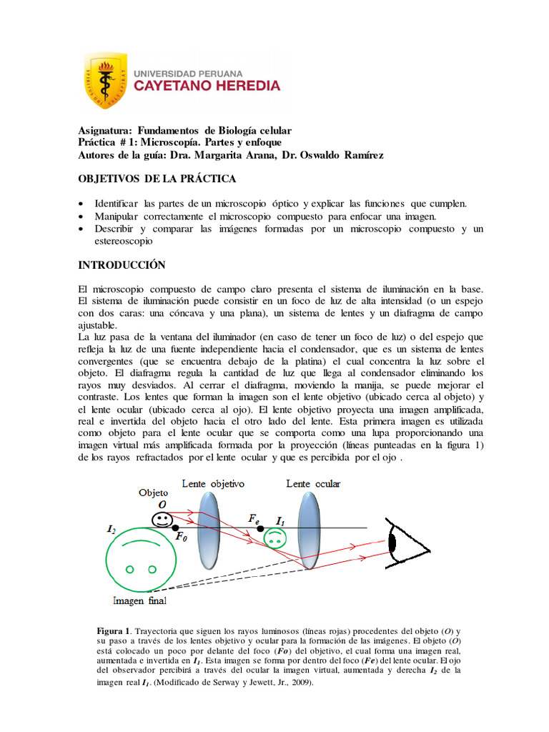 Partes y Enfoque del Microscopio Óptico | PDF | Microscopio | Óptica