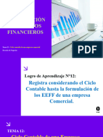 Tema 12 - Formulación de Los Estado Financieros