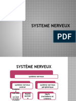 2 Systeme Nerveux