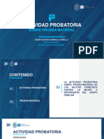 Actividad Probatoria