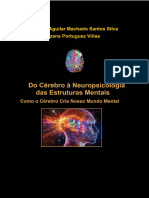 Livro Do Cérebro À Neuropsicologia Das Estruturas Mentais. Como o Cérebro Cria Nosso Mundo Mental