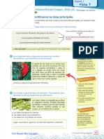 5 Idea Principal Grupo A - 1