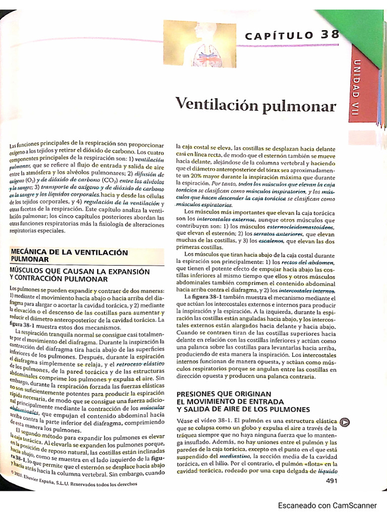 Capítulo 38 | PDF