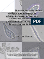 Concurso Microbiología GBS. Segundo premio 2008. Hydrolab Vasco J - Mas M - UB Salvado H