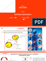 B 4to Sem 33 Sistema Endocrino I