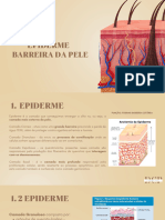 Aula+1+DCP+ +Epiderme,+Derme+e++Barreira+Da+Pele