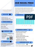 CV Jose Miguel Perez Infografico